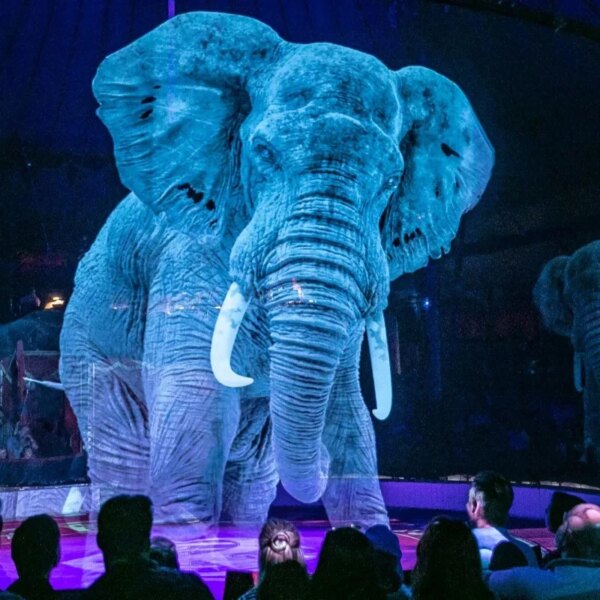 Écran de projection en maille holographique 3D pour exposition d'hologrammes, affichage de cirque, mariage